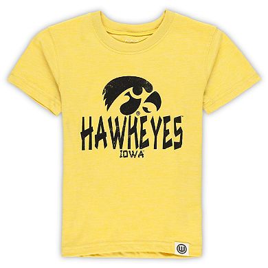 Toddler Wes & Willy Iowa Hawkeyes Cloudy Yarn T-Shirt & Shorts Set