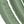Light Green Gold