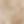 Khaki Beige White
