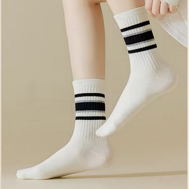Women's 5-Pack Crew Socks Set with Ribbed Knit Texture and Classic Double Stripe Design