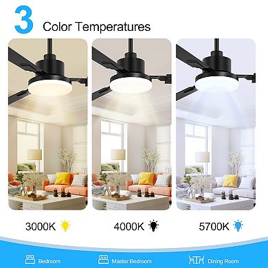 52-in ceiling fan, 3 dual-finish plywood blades, 3-color light, 6-speed DC motor, remote
