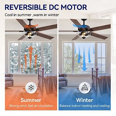52-in traditional fan, light kit, 5 plywood blades, 6-speed DC motor, remote, timer