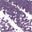 Shimplum