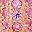 Rose Tone Pink