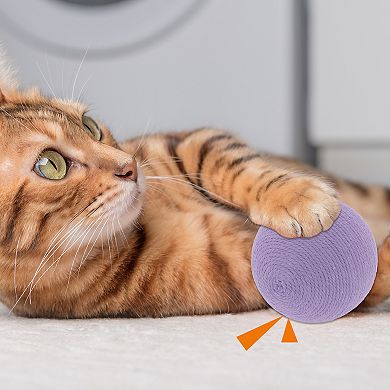 1 Pc Cat Playing Ball with Bell Inside, Interactive Cat Balls for Playtime and Fetch