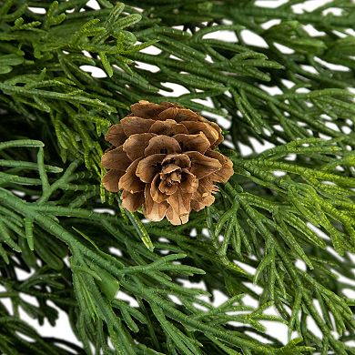 Northlight 24-inch Real Touch™ Cedar Artificial Christmas Wreath with Pinecones