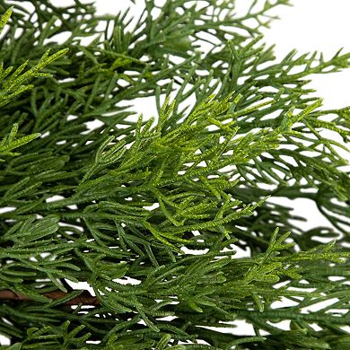 Northlight 24-inch Real Touch™ Cedar Artificial Christmas Wreath with Pinecones