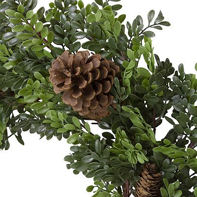 Northlight 27 inch Boxwood & Pine Cone Artificial Christmas Wreath