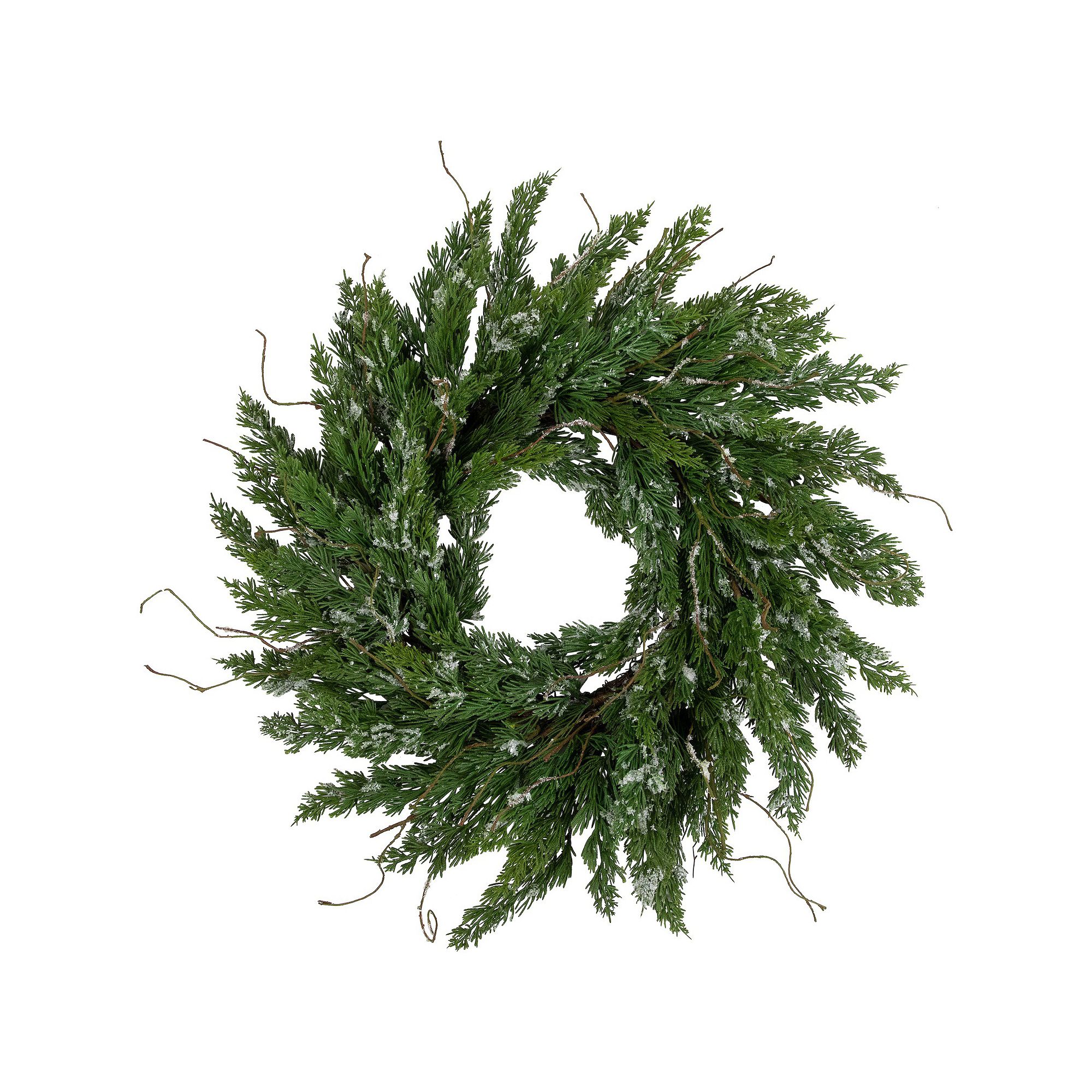 Northlight 24-Inch Unlit Real Touch Iced Cedar Artificial Christmas Wreath,
