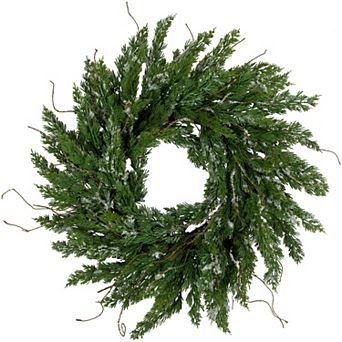 Northlight 24-Inch Unlit Real Touch Iced Cedar Artificial Christmas Wreath