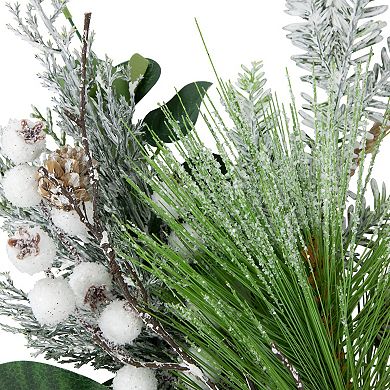 Northlight 24-Inch Real Touch Winter Greenery Artificial Christmas Wreath with Pinecones