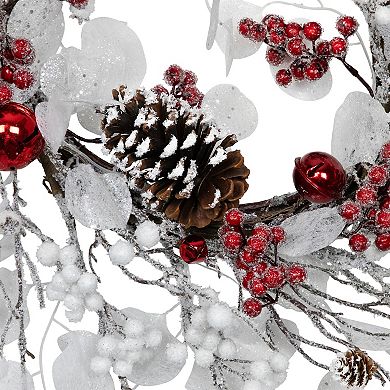Northlight 24-Inch Unlit Berries & Snowflakes Artificial Christmas Wreath