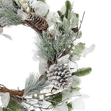 Northlight 28-Inch Artificial Mixed Foliage Christmas Wreath with Pine Cones