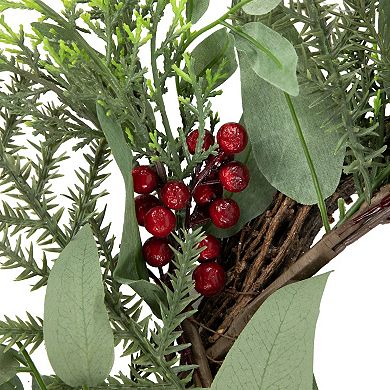 Northlight 24-Inch Unlit Mixed Foliage & Red Berries Artificial Christmas Wreath