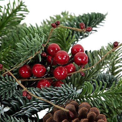 Northlight 30-Inch Red Berries & Pine Cones Artificial Christmas Wreath
