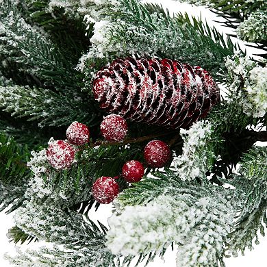 Northlight 24-Inch Real Touch️ Flocked Snowcap Grove Fir Artificial Christmas Wreath