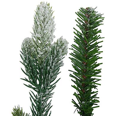 Northlight 24-Inch Real Touch️ Flocked Snowcap Grove Fir Artificial Christmas Wreath