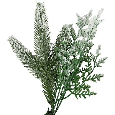 Northlight 24-Inch Real Touch Flocked Wind River Fir Artificial Christmas Wreath