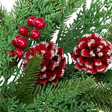 Northlight 24-Inch Real Touch Wind River Fir Artificial Christmas Wreath with Glittered Pinecones