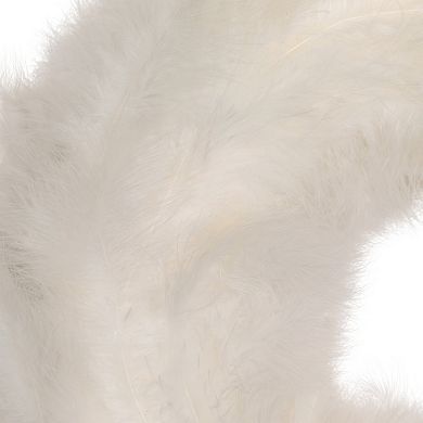 Northlight 14.5-Inch Unlit Wispy Feather Artificial Wreath