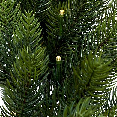 Northlight 24-Inch Real Touch Pre-Lit Noble Fir Artificial Wreath
