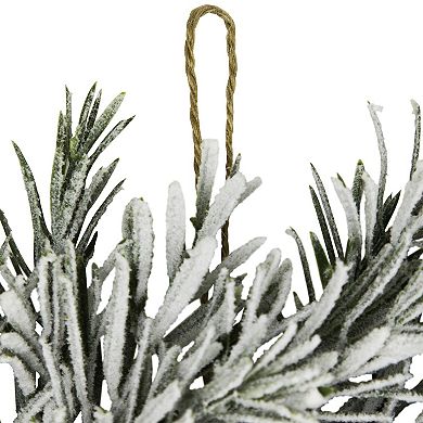 Northlight 20-Inch Unlit Pine Cones & Berries Flocked Rosemary Artificial Wreath