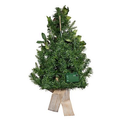 Kurt Adler Artificial 22-Inch Light-Up Wall Tree with Berries & Pomegranate