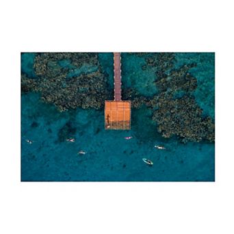 Trademark Fine Art Ido Meirovich Coral Escape Canvas Art - 24 x 16 in