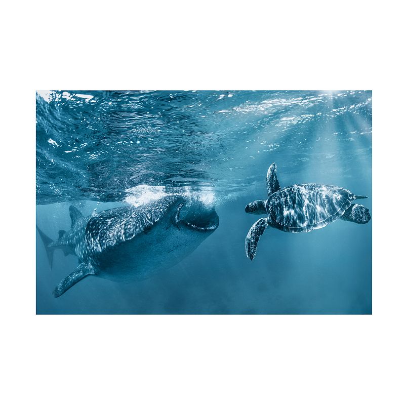 Trademark Fine Art Andrey Narchuk Once At The Ocean Canvas Art - 47 x 30 Inches, Multi