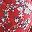 Red Florals