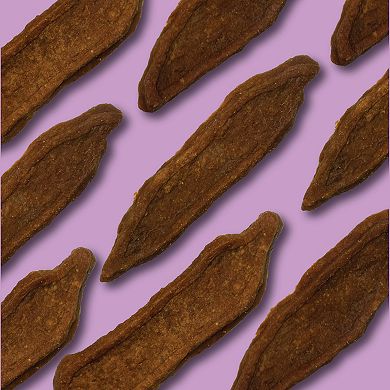 Disney's Glad Wags 16-oz. Chicken Jerky Recipe Dog Treats
