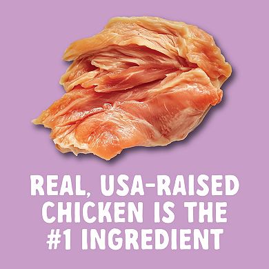 Disney's Glad Wags 16-oz. Chicken Jerky Recipe Dog Treats