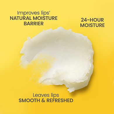 Burt's Bees Lavender Vanilla Moisturizing Lip Balm