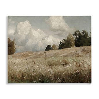Stupell Home Decor Classic Cloudy Field Landscape Canvas Wall Art