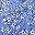 Blue Floral