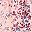 Pink Floral