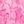 Pink Tropical