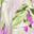 Purple Tropical