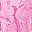Pink Tropical