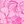 Pink Tropical
