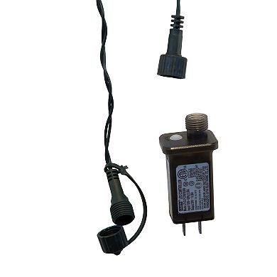 Kurt Adler 10-Light G40 Bubble Lawn Stake Light Set