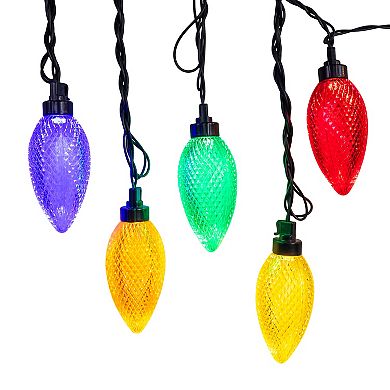 Kurt Adler 10-Light LED C9 Multicolor Bulb Yard Stakes Set