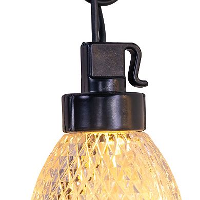 Kurt Adler 10-Light LED C9 Bulb Yard Stakes Set