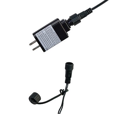 Kurt Adler 10-Light LED C9 Bulb Yard Stakes Set