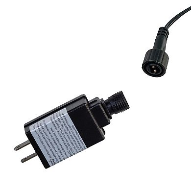 Kurt Adler 10-Light LED C9 Bulb Yard Stakes Set