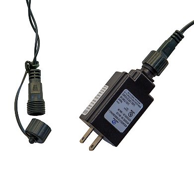 Kurt Adler 10-Light LED C9 Bulb Yard Stakes Set