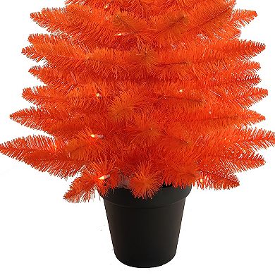 Kurt Adler 3-Foot Battery-Operated Pre-Lit Artificial Halloween Potted Tree