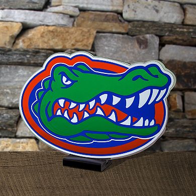 Florida Gators LED Infinity Logo Light