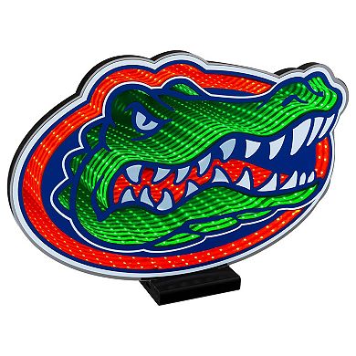 Florida Gators LED Infinity Logo Light