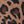 Animal Taupe